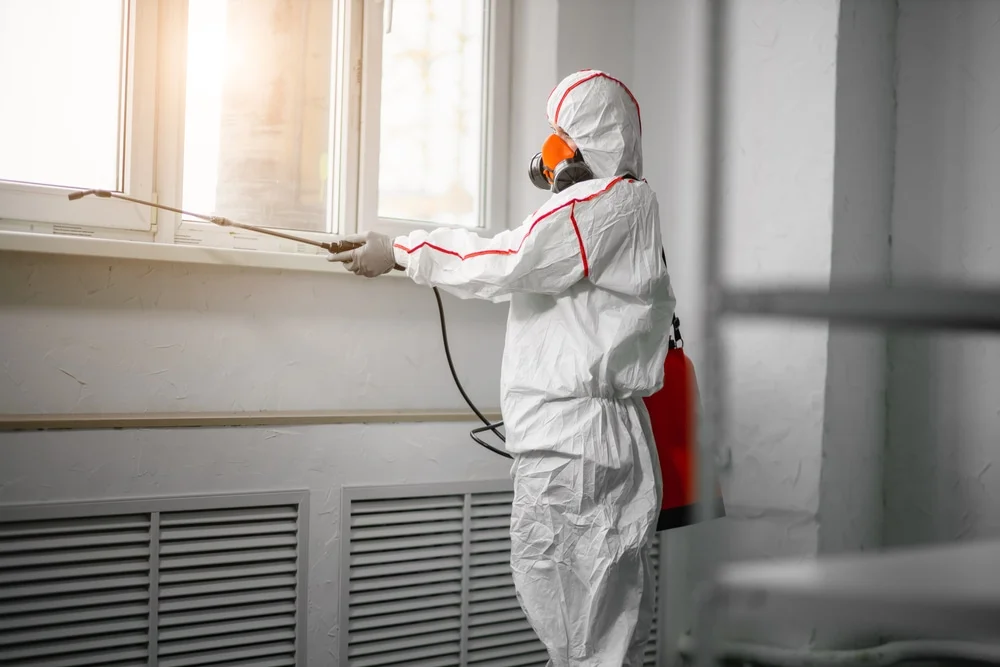 Professional mold remediation services in Port Sanilac, MI